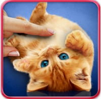 Purring Cats (App วอลล์เปเปอร์แมวเหมียว ดุ๊กดิ๊ก) : 