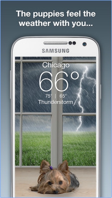 Weather Puppy (App ลูกหมาน้อย รายงานสภาพอากาศ) : 