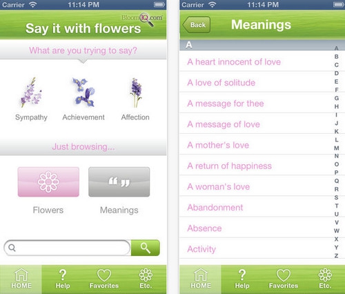Say it with Flowers (App ส่งข้อความ บอกรัก) : 
