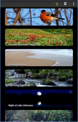 Naturespace (App ดนตรีบำบัด Naturespace เพื่อการนอนหลับ และ ฝึกสมาธิ) : 