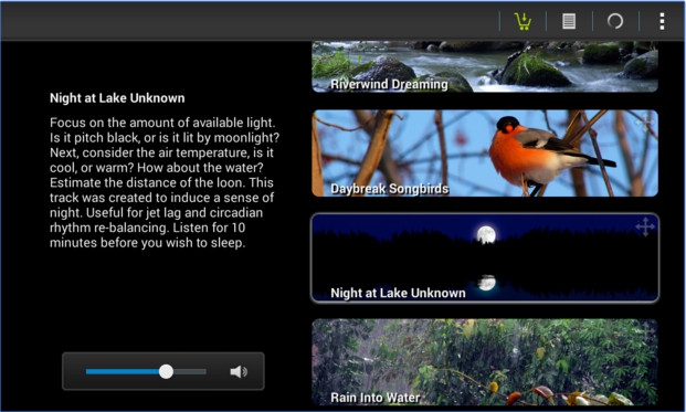 Naturespace (App ดนตรีบำบัด Naturespace เพื่อการนอนหลับ และ ฝึกสมาธิ) : 