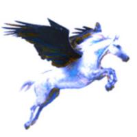 Pegasus Mail (โปรแกรม Pegasus Mail บริหาร จัดการ อีเมล)