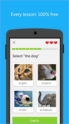 Duolingo (App เรียนภาษาอังกฤษฟรี เรียนภาษาต่างประเทศ) : 