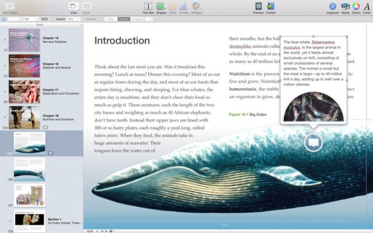 iBooks Author (โปรแกรม iBooks Author สร้างหนังสือ เขียนหนังสือ eBook บน Mac ฟรี) : 