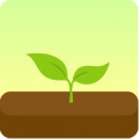 Forest Stay focused (App แก้อาการติดมือถือด้วยการปลูกป่า)