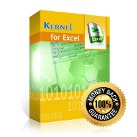 Kernel for Excel Recovery (โปรแกรม Excel Recovery กู้ไฟล์สเปรดชีต Excel)