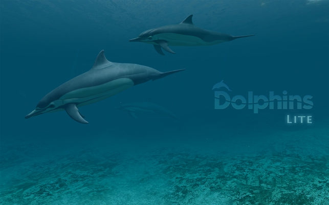 Dolphins 3D Lite (โปรแกรม Dolphins 3D Lite ภาพพื้นหลัง ดำน้ำกับปลาโลมา บน Mac) : 