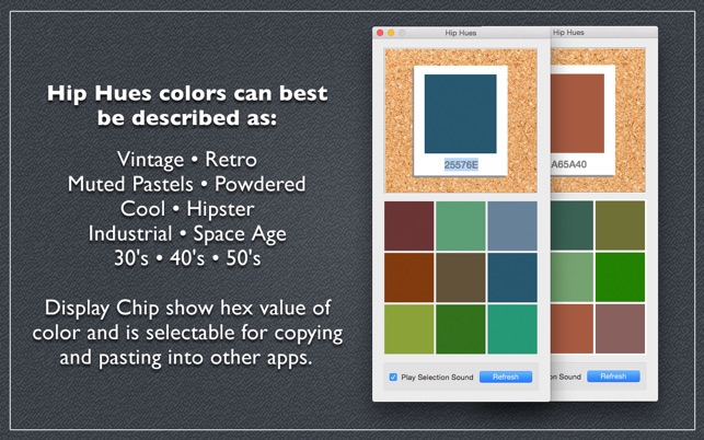 Hip Hues (โปรแกรม Hip Hues เครื่องมือสุ่มเลือกสี ค้นหาสีใหม่ๆ แบบฮิปๆ บน Mac) : 