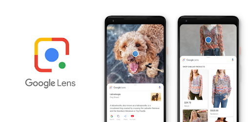 Google Lens (App สแกนระบุสิ่งของ แปลงรูปเป็นข้อความ แปลงรูปเป็นตัวอักษร บนมือถือ Android) : 