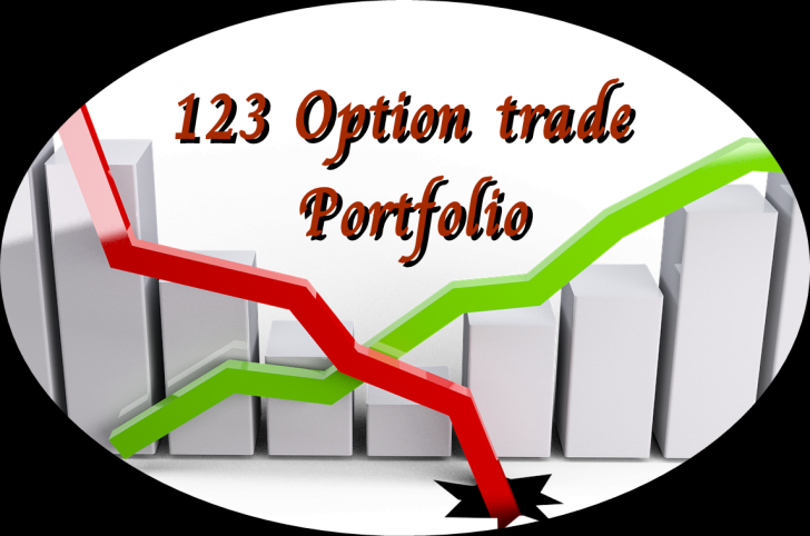 123 Option trade portfolio (โปรแกรมบันทีกผลการเทรดหุ้น ปี 63) : 
