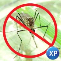 SEA Anti Mosquitoes XP (โปรแกรมไล่ยุง ต้นตํารับเจ้าแรกของไทย เวอร์ชันแรก สำหรับ Windows XP)