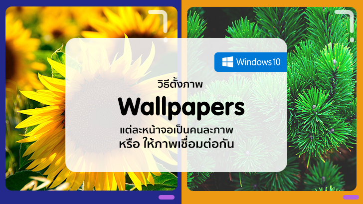วิธีตั้งภาพ Wallpapers บน Windows 10 ให้แต่ละหน้าจอเป็นคนละภาพ หรือให้ภาพเชื่อมต่อกัน