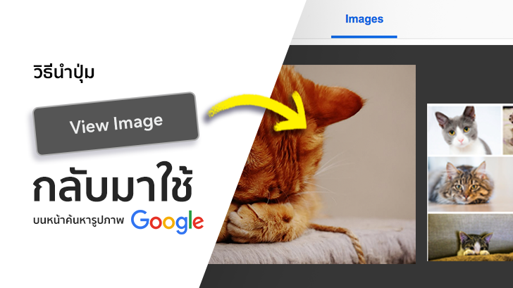 วิธีนำปุ่ม View Image กลับมาใช้งานบนหน้าค้นหารูปภาพ Google (บน PC)
