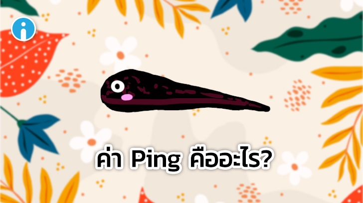 ค่า Ping คืออะไร ? เราจะทำค่า Ping ให้เป็น 0 ได้หรือเปล่า ?