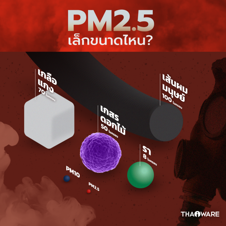 ฝุ่นละออง PM 2.5 คืออะไร ? ย่อมาจากคำว่าอะไร ? และ ผลกระทบ อันตรายจากฝุ่น PM 2.5