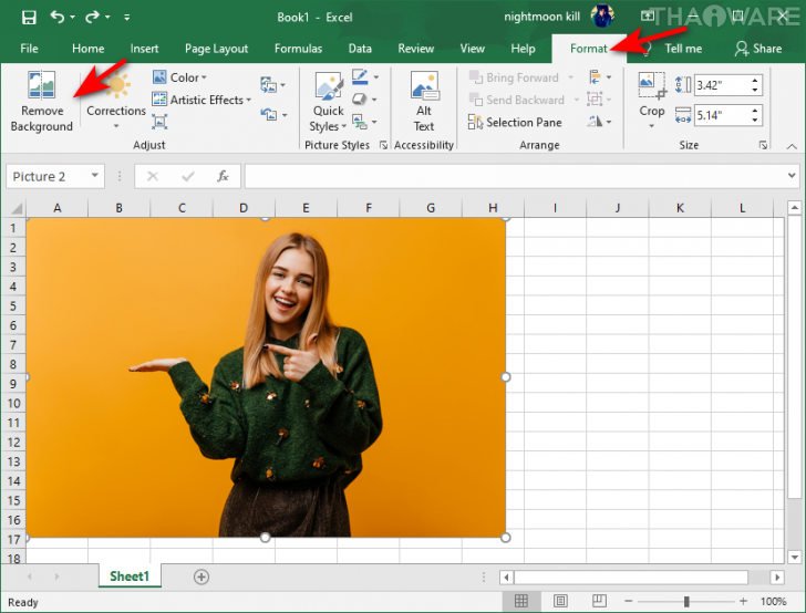 วิธีลบพื้นหลังออกจากรูปภาพใน Microsoft Excel 