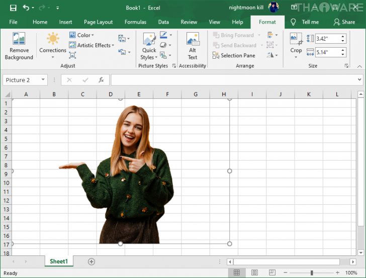 วิธีลบพื้นหลังออกจากรูปภาพใน Microsoft Excel 