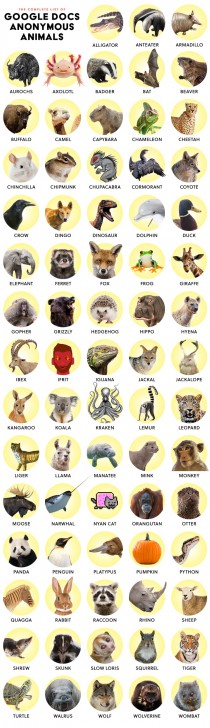 Anonymous Animals ทั้ง 73 ชนิด