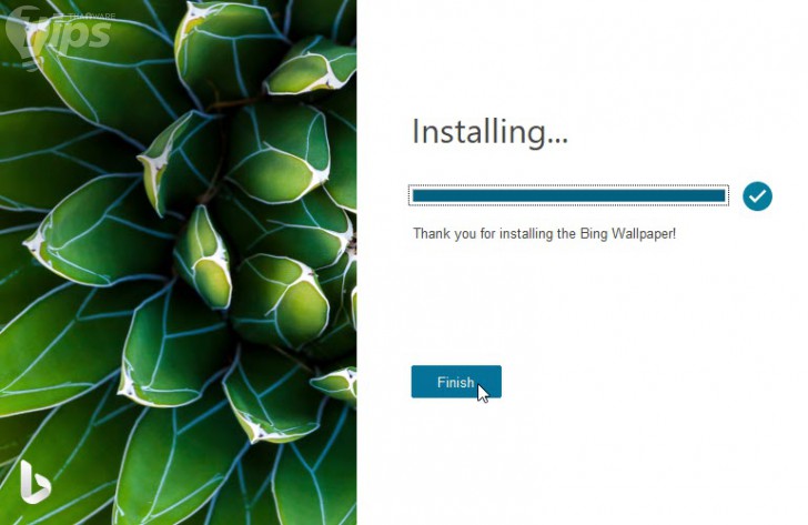 ขณะกำลังติดตั้งโปรแกรม Bing Wallpaper