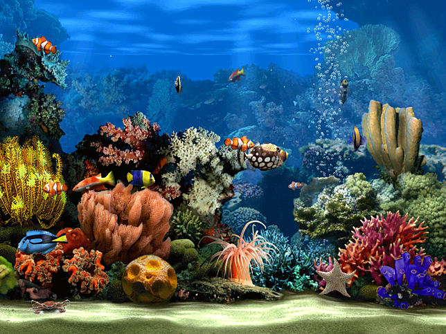 สกรีนเซฟเวอร์ Living Marine Aquarium 2