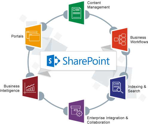 ใครเหมาะกับการใช้งาน Microsoft SharePoint บ้าง ?