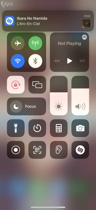 วิธีค้นหาชื่อเพลงที่ได้ยินด้วย Shazam บน iOS