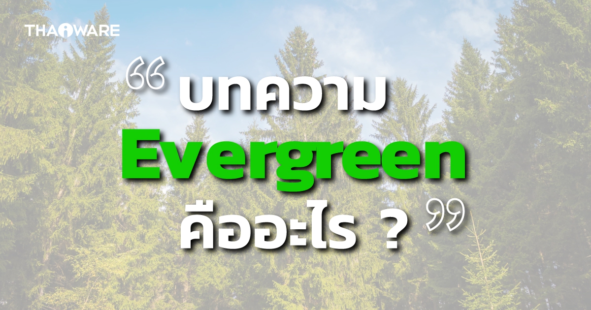 Evergreen Content คืออะไร ? แตกต่างจาก Topical Content อย่างไร ? ประโยชน์คืออะไร ?