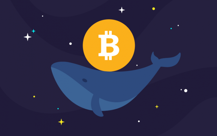 Bitcoin Whale คืออะไร ?