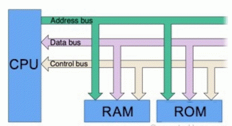 การจำแนก Bus คอมพิวเตอร์ (Computer Bus Classification)