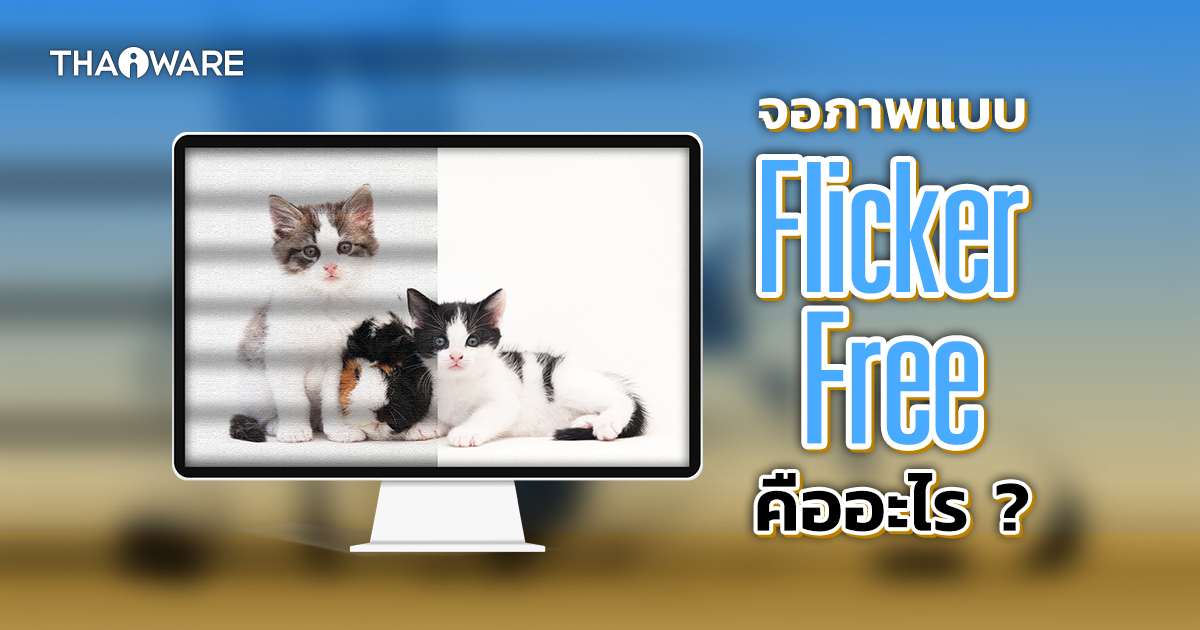 Flicker-Free คืออะไร ? เทคโนโลยี Flicker-Free ในหน้าจอคอมพิวเตอร์ มีประโยชน์อย่างไร ?