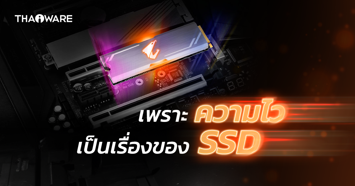 SSD คืออะไร ? รู้จักอุปกรณ์เก็บข้อมูลที่เน้นเร็ว เงียบ ประหยัด ทนทาน