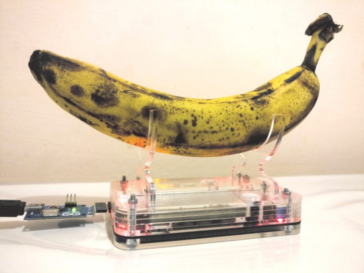 ภาพของเครื่อง True Random Number Generator ที่ทำมาจากกล้วย