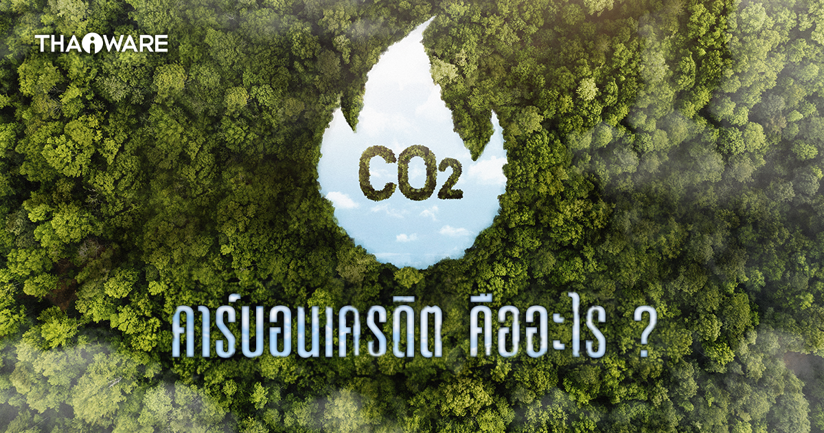 Carbon Credit คืออะไร ? คาร์บอนเครดิตสำคัญอย่างไร ? มีกี่ประเภท ?